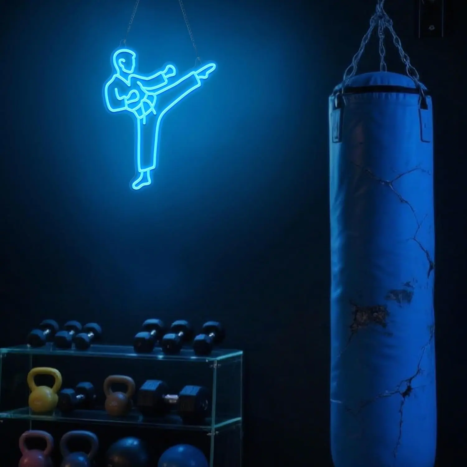 Karate Man Neonreclame Blauwe  - Home Gym Neon Sign recensie en prijs